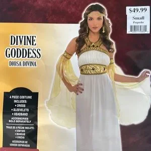 Amscan | Other | Divine Goddess Adult Costume New | Poshmark